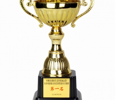 First place in competition